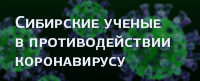 Сибирские ученые в противодействии коронавирусу