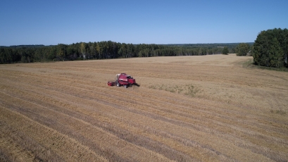 Экспериментальные поля ФИЦ ИЦИГ СО РАН в с. Елбаши Черепановского района