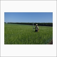 SibNIIRS people examining experimental barley plots