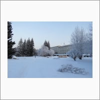 Центральный сибирский ботанический сад СО РАН зимой 