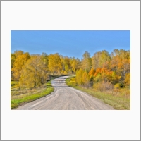 Лесная дорога у р. Коен. Фото С.В. Алексеенко.