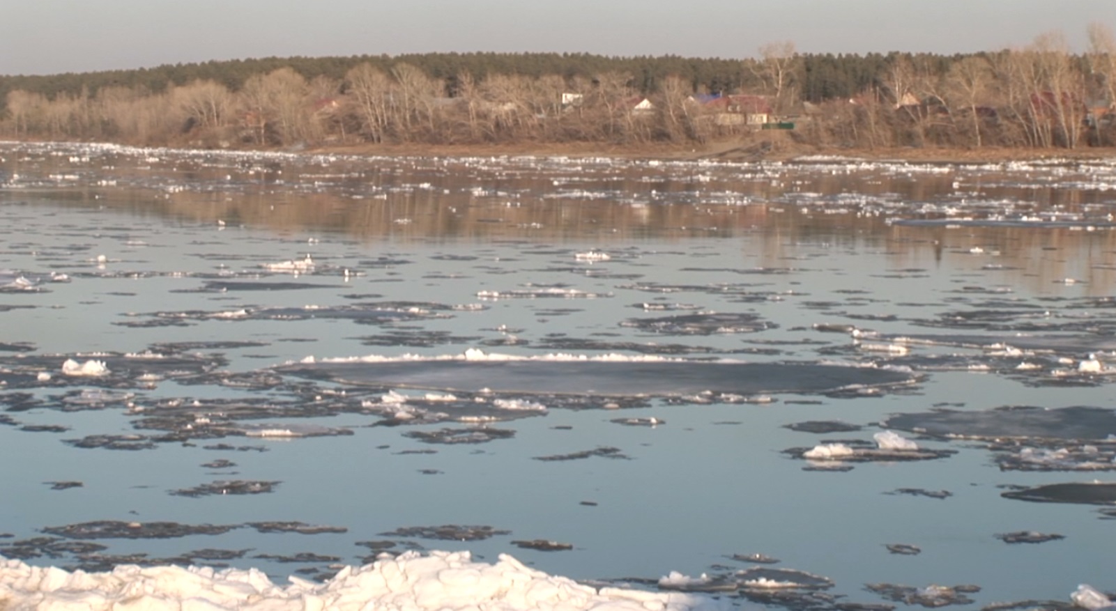 Вода в бии на сегодня. Бийск ледоход на реке Бия. Весенний ледоход на реке. На реке начался ледоход.