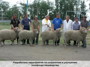 Алтайский НИИ животноводства и ветеринарии