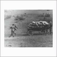 1963 Экспедиция по сбору дикорастущих лекарственных трав в Горном Алтае.