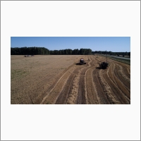 The Institute’s experimental fields in the village of Yelbashi, Cherepanovsky District, Novosibirsk Region