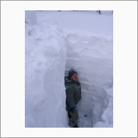Изучение подснежного развития растений. Заповедник Кузнецкий Алатау. Мощность снежного покрова 318 см Фото А.Ю.Королюка