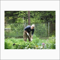 The photo belongs to the Central Siberian Botanical Garden of the Siberian Branch of the RAS. 