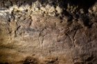 Палеолитическое изображение бизона во французской пещере Ля Грэз. Фото Лидии Зоткиной 