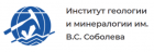 Институт геологии и минералогии им. В.С. Соболева СО РАН