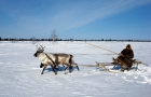Фото из экспедиции в Ханты-мансийский автономный округ