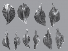 Конодонты Polygnathus ovaliformis Izokh, sp. nov.. Размер одного ископаемого не превышает 1,7 мм в длину и 0,8 мм в ширину.