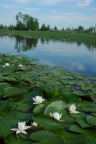 Озеро Арантур, природный парк «Кондинские озера»