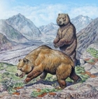 Пещерные медведи 