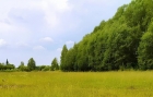 Заказник «Барзасский»