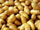 «Златка» - сорт картофеля 